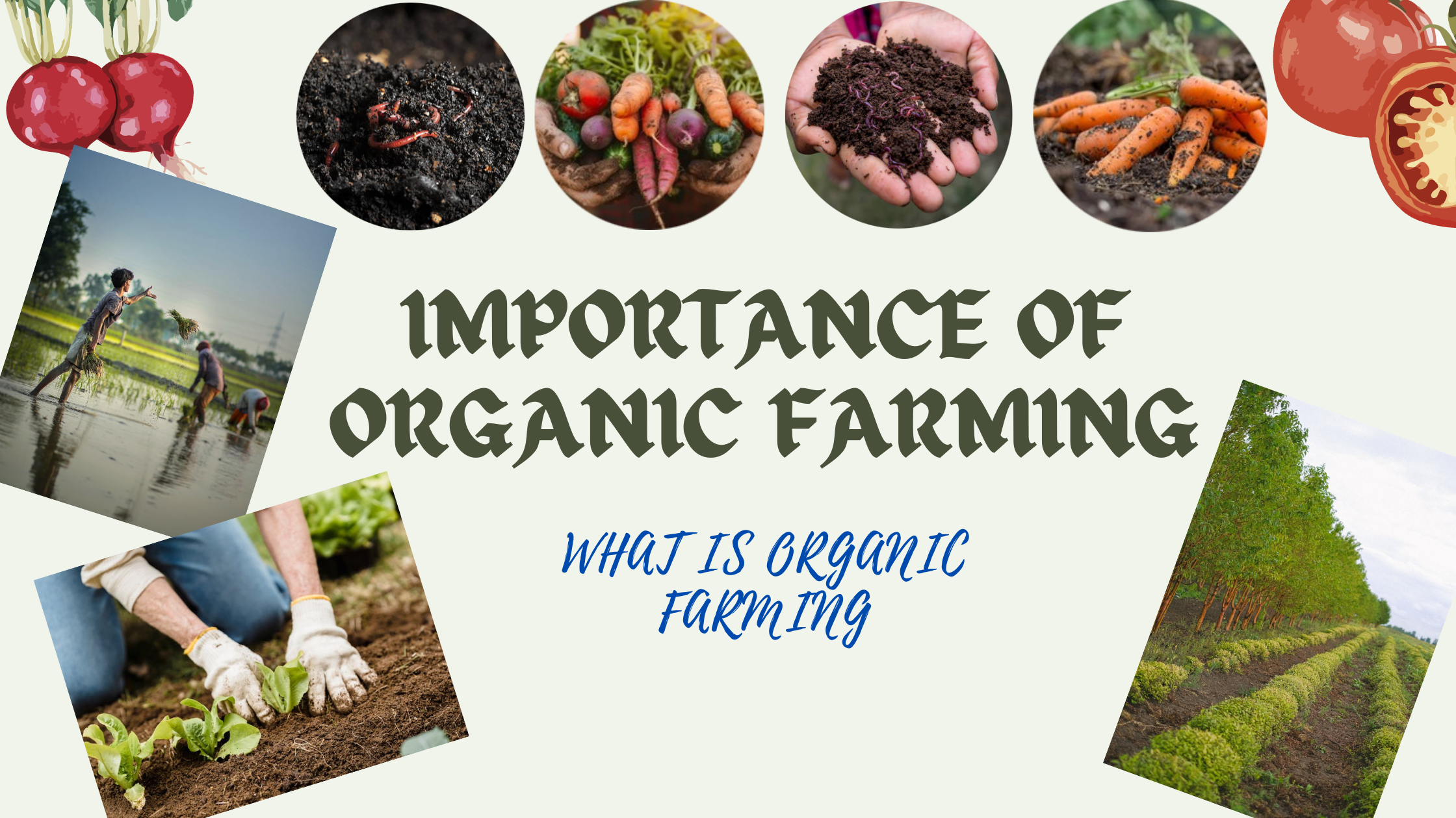 what is organic farming