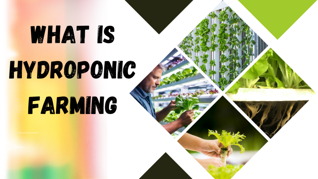 what is hydroponic farming?