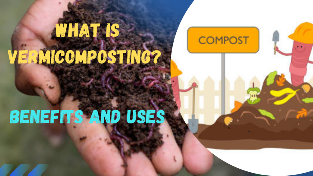 what is vermicompost?