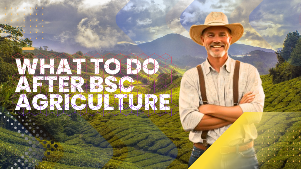 What to Do After BSc Agriculture?